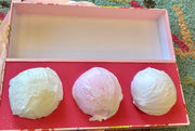 Musee Mushroom Gift Box