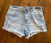 Jane High Rise Frayed Shorts